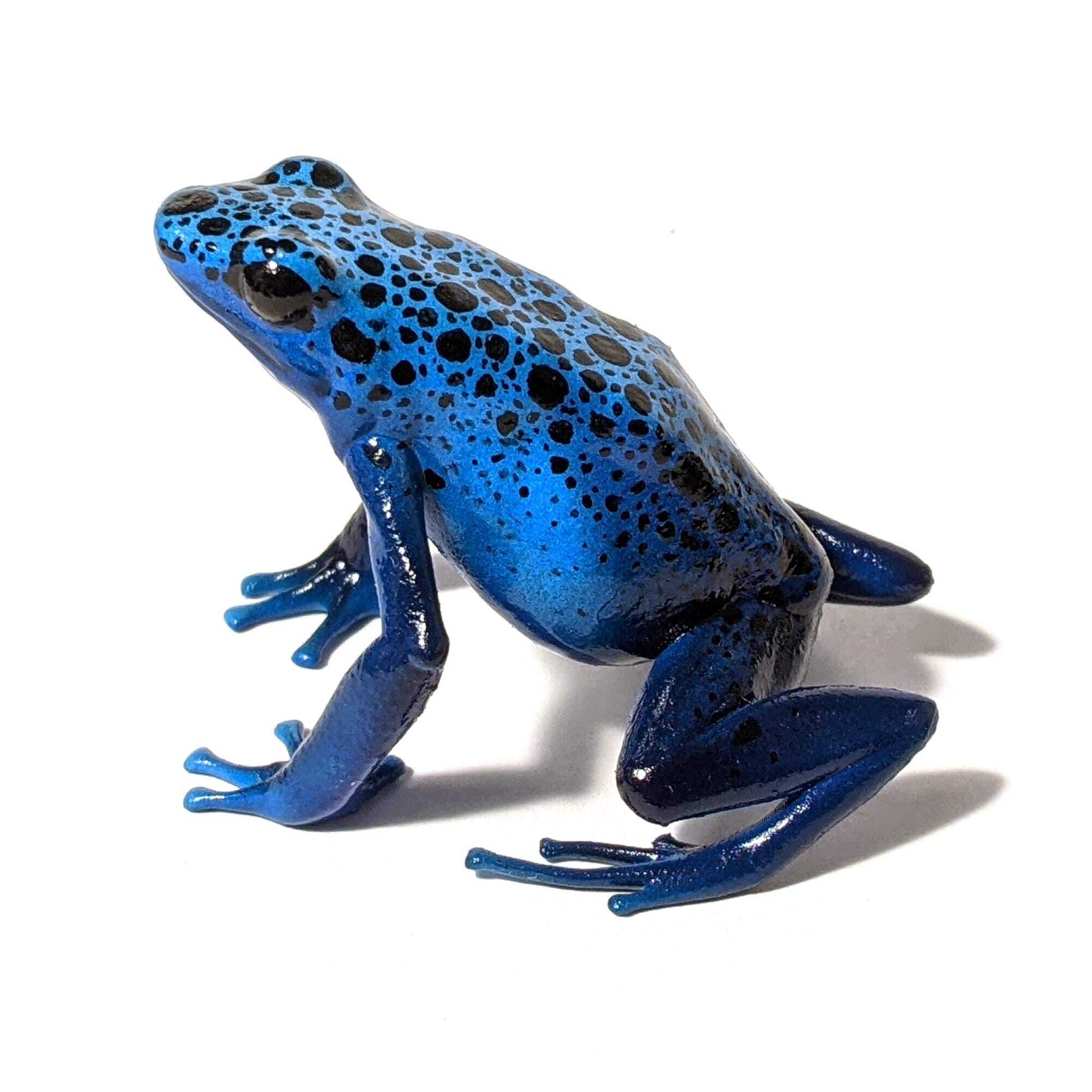 Dendrobates Tinctorius
