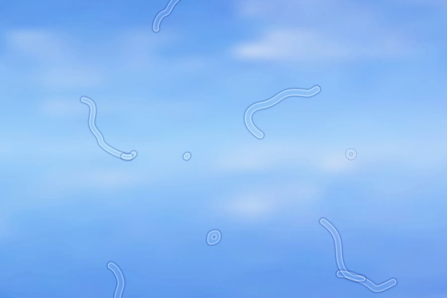 Another kind of floaties